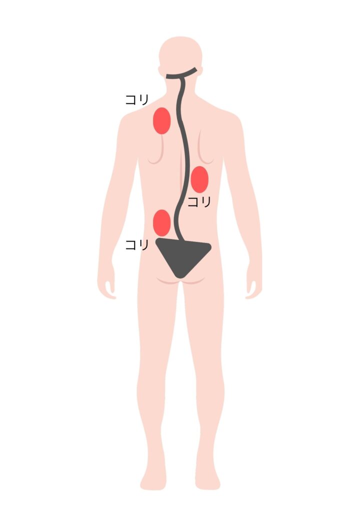 二ツ谷町整骨院の施術理論補足画像